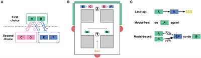 Deliberation and Procedural Automation on a Two-Step Task for Rats